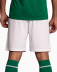 Shorts Palmeiras 2025 I – Torcedor