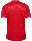 Denmark 24/25 I Home Jersey - Fan Version