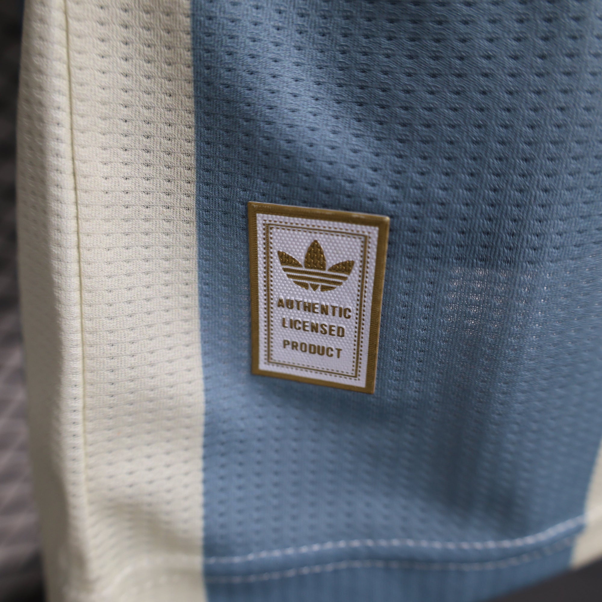 Argentina 50.º Aniversario 2024/25 Camiseta - Versión Jugador