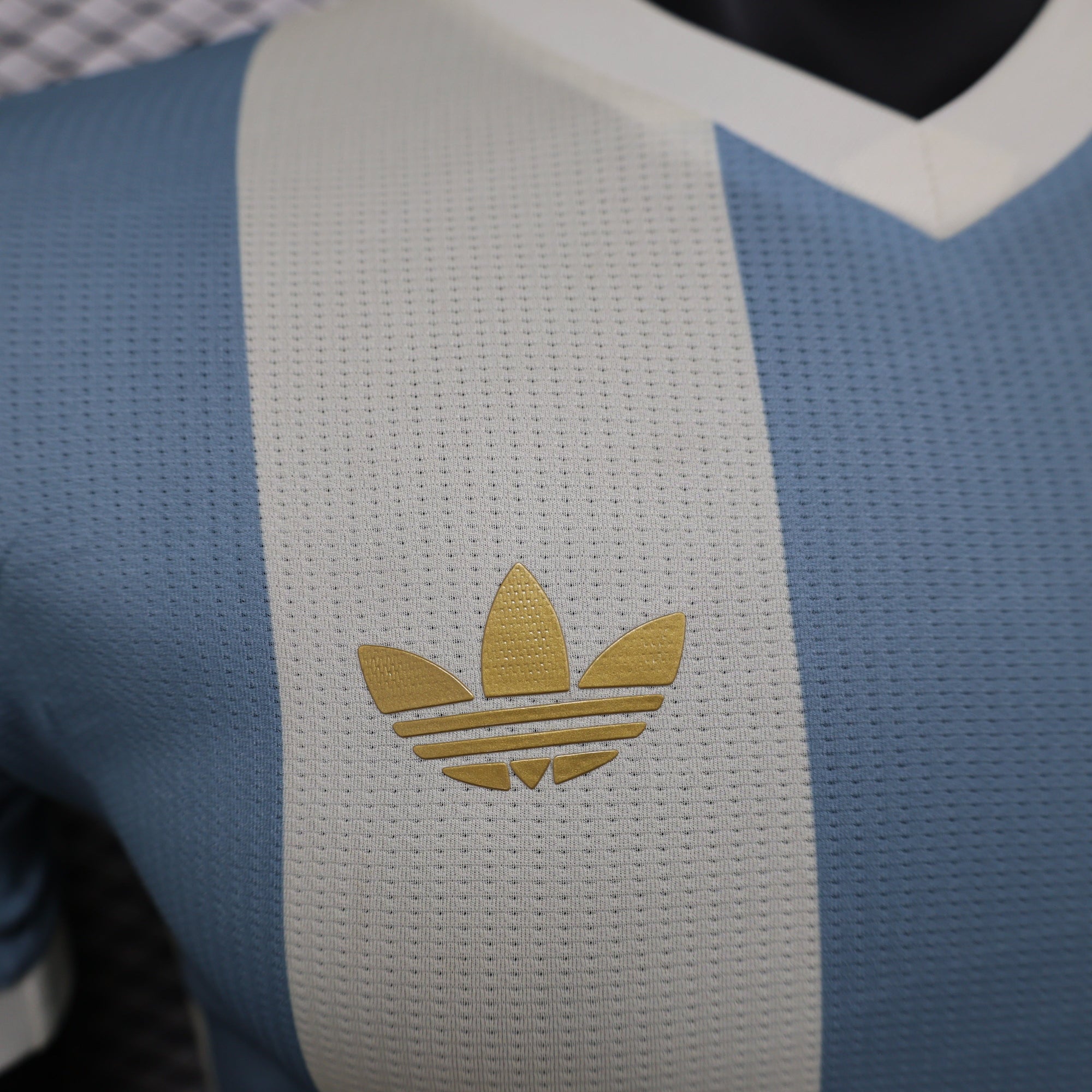 Argentina 50.º Aniversario 2024/25 Camiseta - Versión Jugador