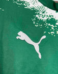 Palmeiras For a Greener Future Special Edition