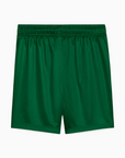 Shorts Palmeiras 2025 II – Torcedor