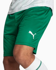 Shorts Palmeiras 2025 II – Torcedor