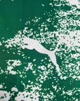 Palmeiras For a Greener Future Special Edition