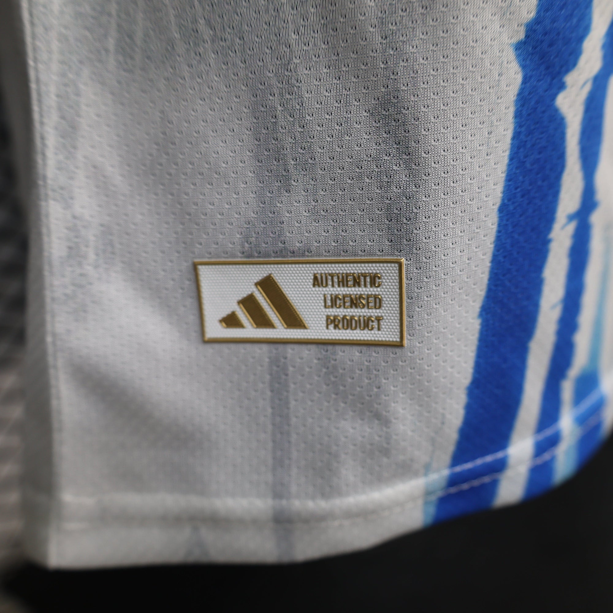Argentina 2026 Skyflow Camiseta Especial - Versión Jugador