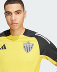 Camisa Treino Atlético Mineiro 2024/25