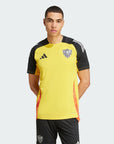 Camisa Treino Atlético Mineiro 2024/25