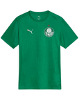 Camisa Palmeiras 25/26 Treino verde