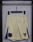 Barcelona 2025/26 Away Edición Especial Pantalones Cortos - Versión Jugador