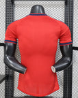 Spain 2026/27 Camiseta Edición Especial - Versión Jugador